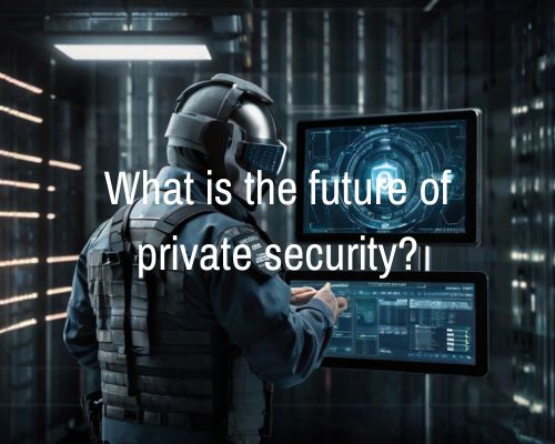 a figure of modernized private security