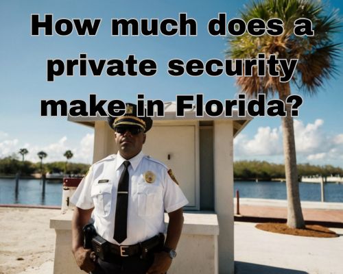 a licensed security guard in his post