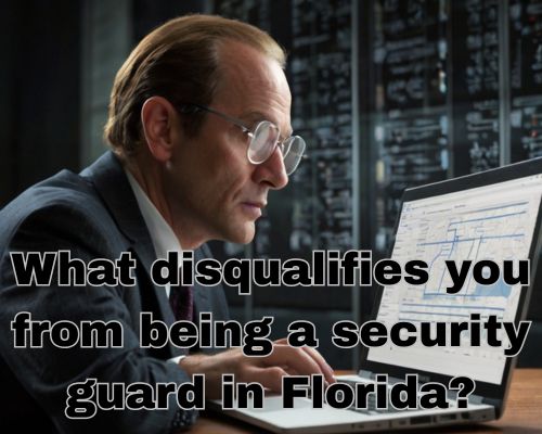 a personnel doing security searches